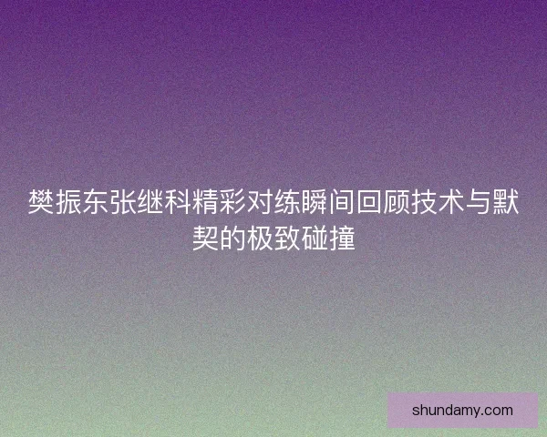 樊振东张继科精彩对练瞬间回顾技术与默契的极致碰撞